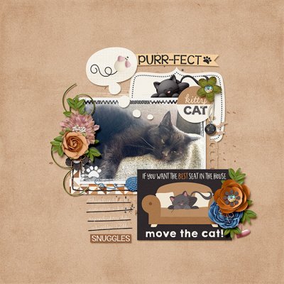 purr-fect