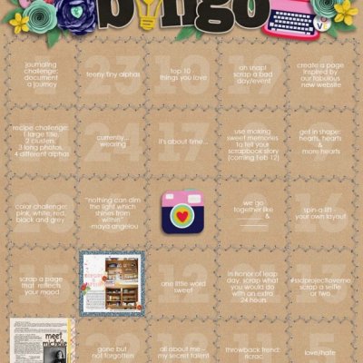 My February 2016 Bingo Tracker
