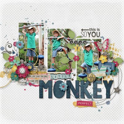 Little Monkey