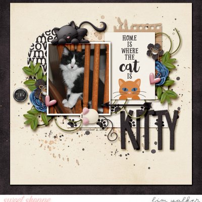 Kitty