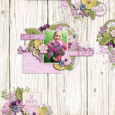 Bloom Wildly