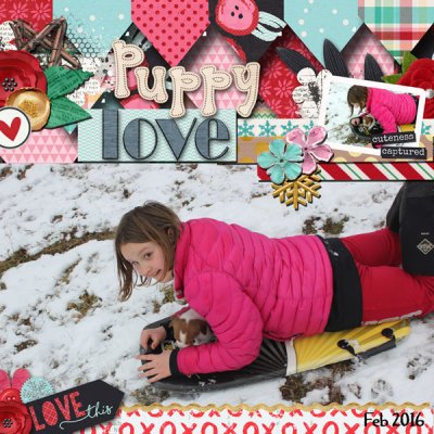 puppy-love-2016