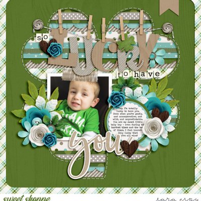 lucky-to-have-you-wm