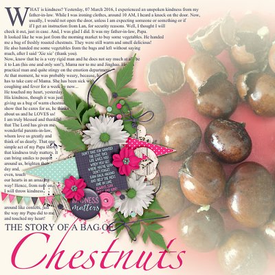 the story of a bag of chestnuts
