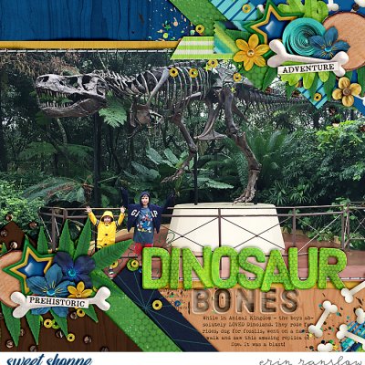 Dinosaur Bones