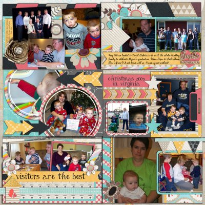 Trips and Visitors