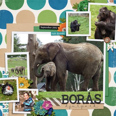 A day at the zoo