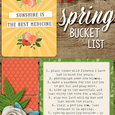 Spring Bucket List