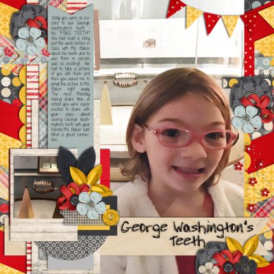 George Washingtons Teeth