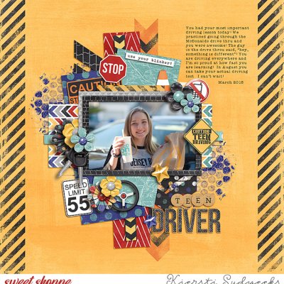 Teenage Driver