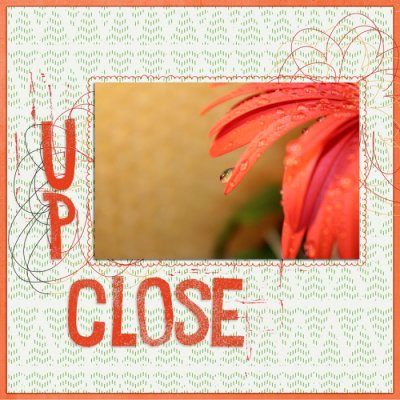 #15 UP CLOSE/FROM AFAR