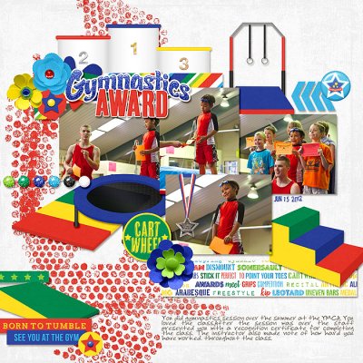 Gymnastics Award
