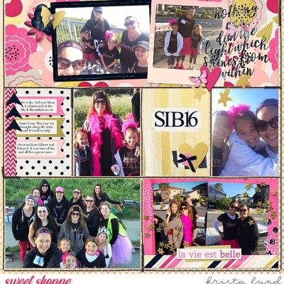 SIB 2016