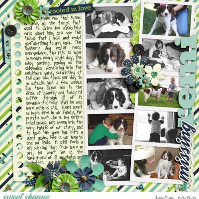 missing-remi-wm