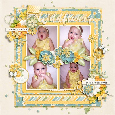 wildflower