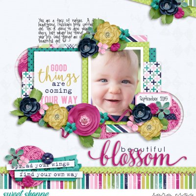 beautiful-blossom-wm