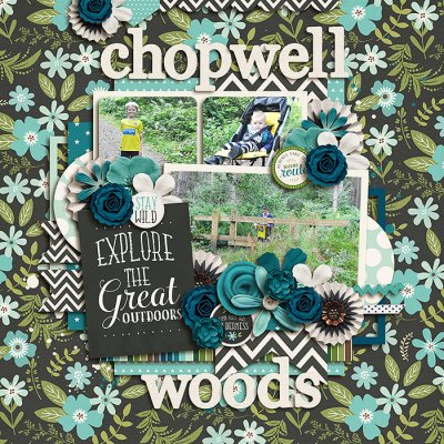 Chopwell Woods