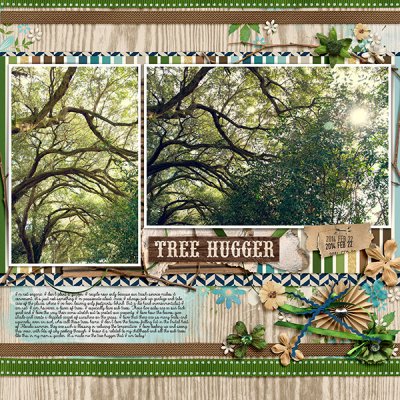 Tree Hugger