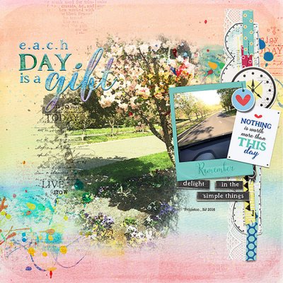 Each Day is a Gift