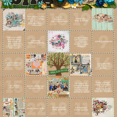 SSD-Challenge-Bingo-April-2016-Ronda