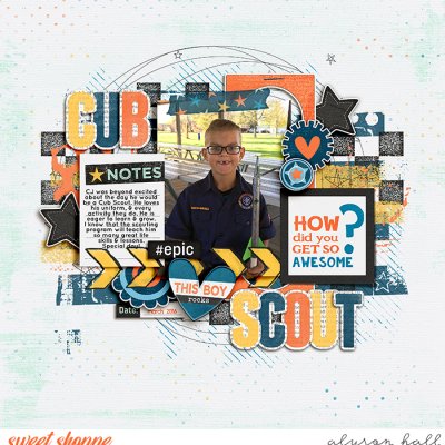 Cub Scout
