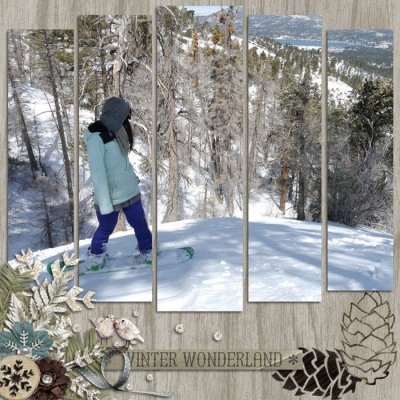 Winter Wonderland