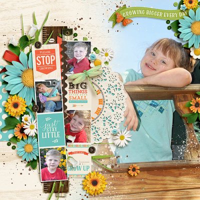 Sprouting Up Bundle