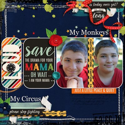 My Monkeys My Circus