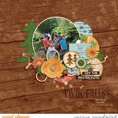 Twin Falls