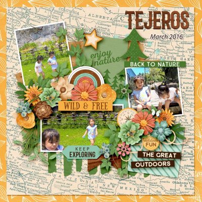 Tejeros 3
