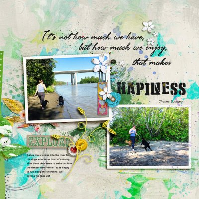 Makes Happiness