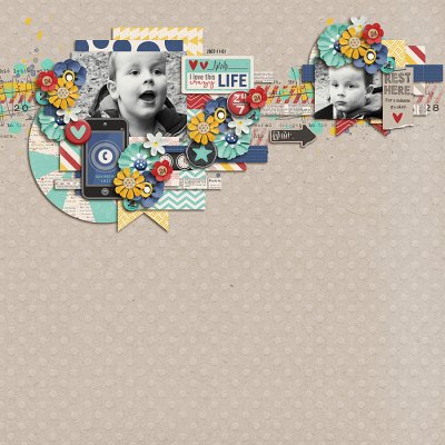 Crazy Life