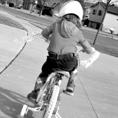 Shutterbug Shakedown #17