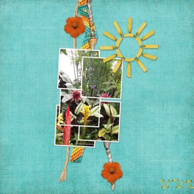 Tropical flowers