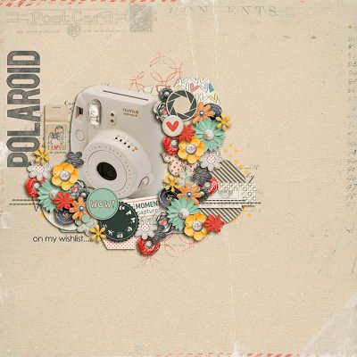 June Bingo #5 - Flashback: Polaroid
