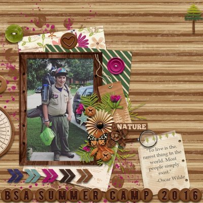 BSA Summer Camp 2016