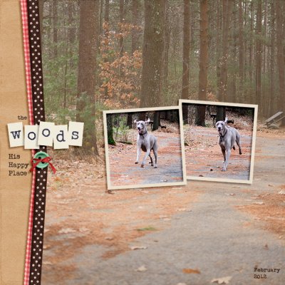 The Woods