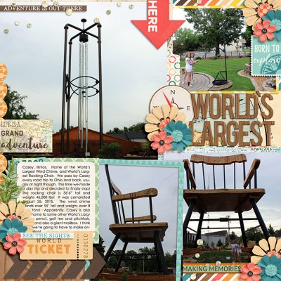 world's largest