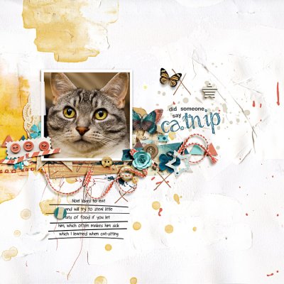 Catnip