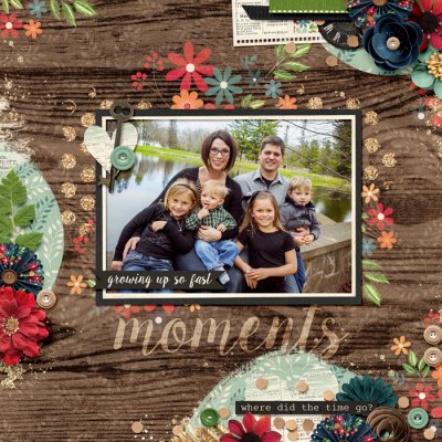 Family Moments