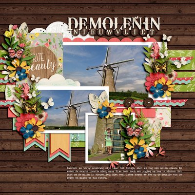 De molen in Nieuwvliet