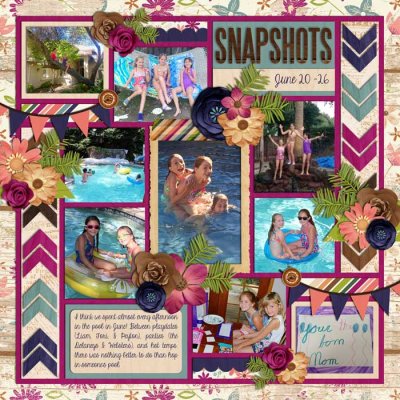 SNAPSHOTS