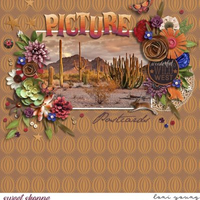 Picture Postcards