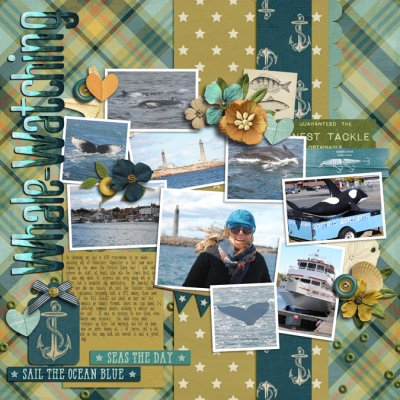 Whale Watching