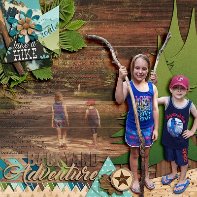 Backyard Adventure