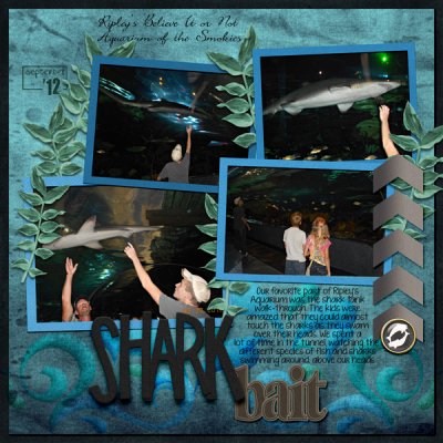 August Bingo #2-Shark Bait