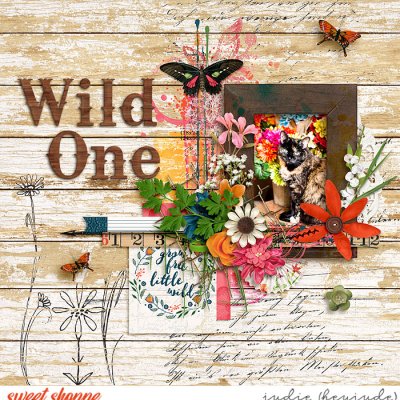 Wild One