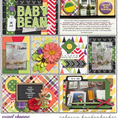 baby bean experiment