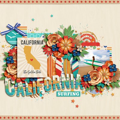 California Surfing