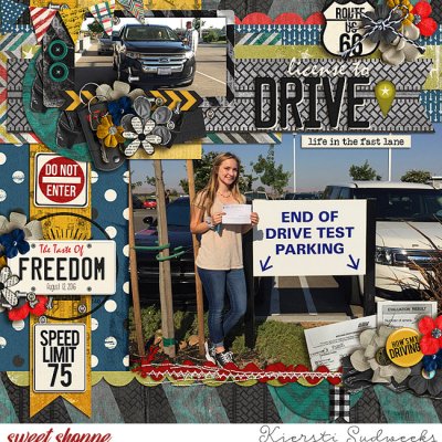 License to Drive